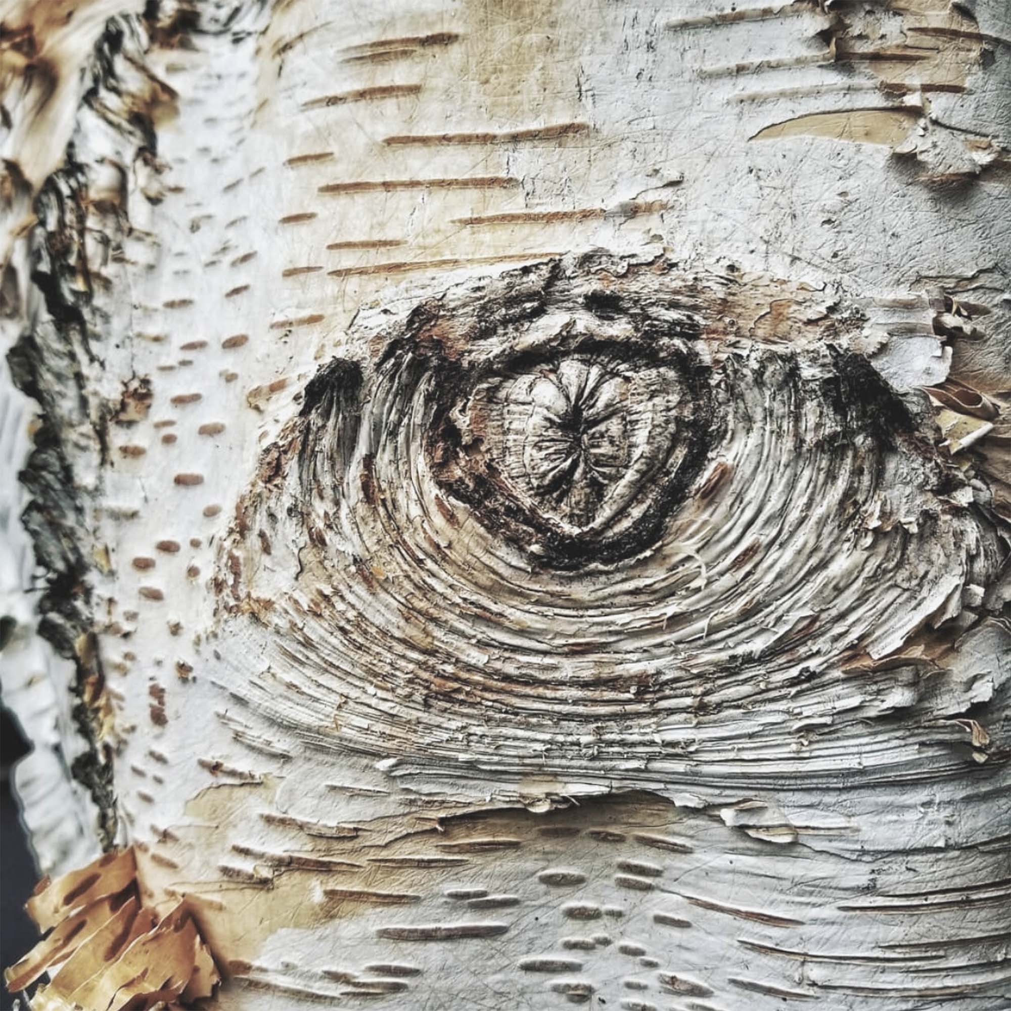 Pilamaya Centre for Integration Psychotherapy (PCIP)