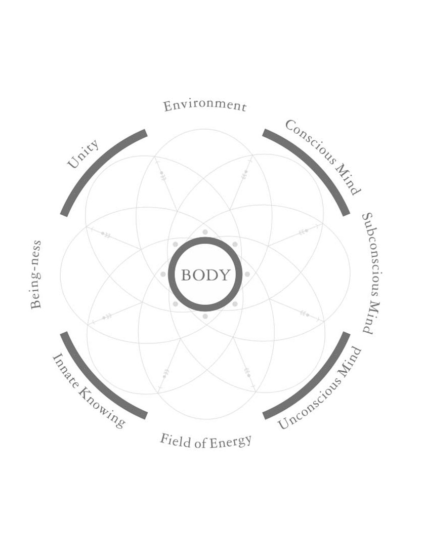 Pilamaya Centre for Integration Psychotherapy (PCIP)