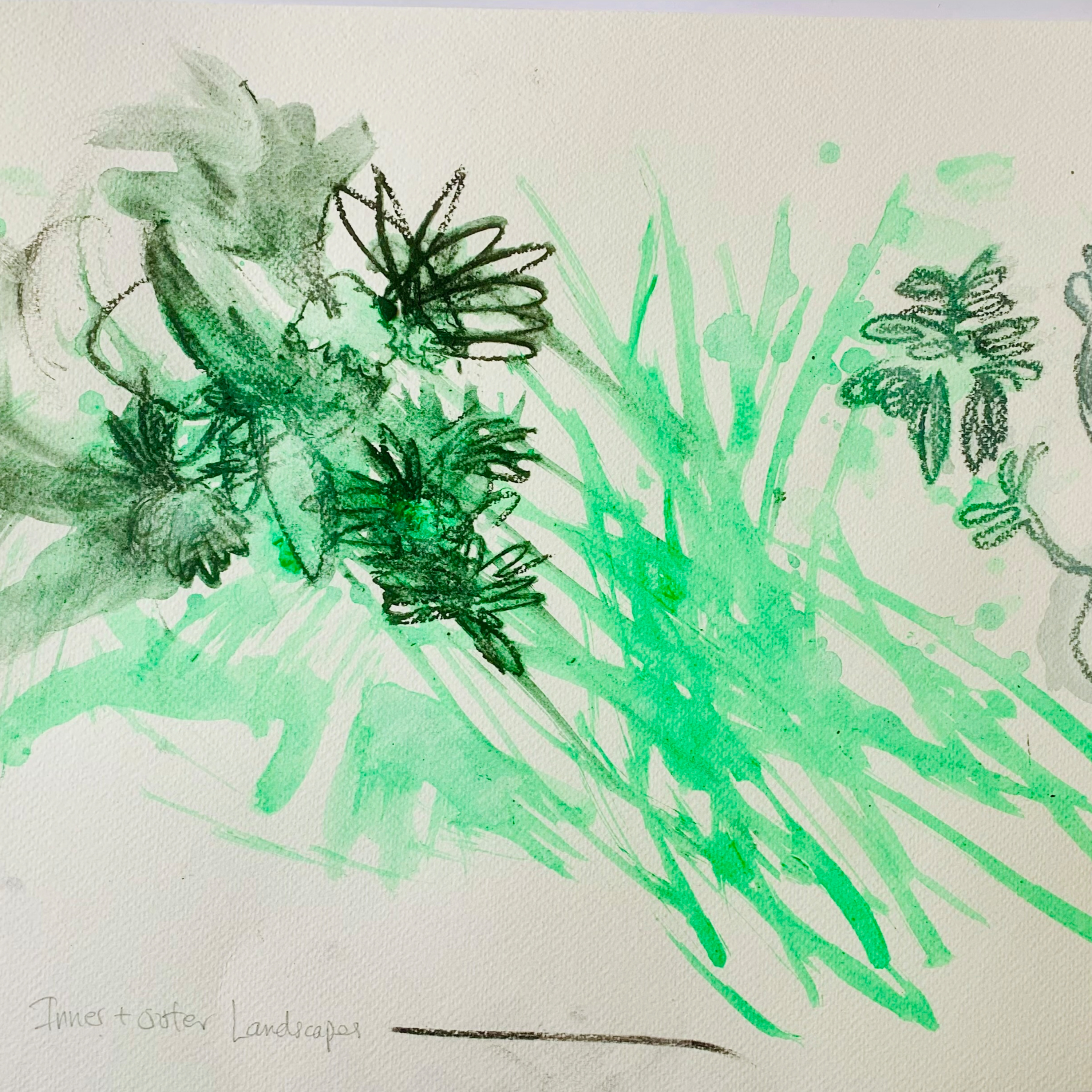 The Pilamaya Podcast: A Small and Mighty Constellation